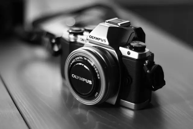 Guide d'achat des meilleurs appareils photo reflex